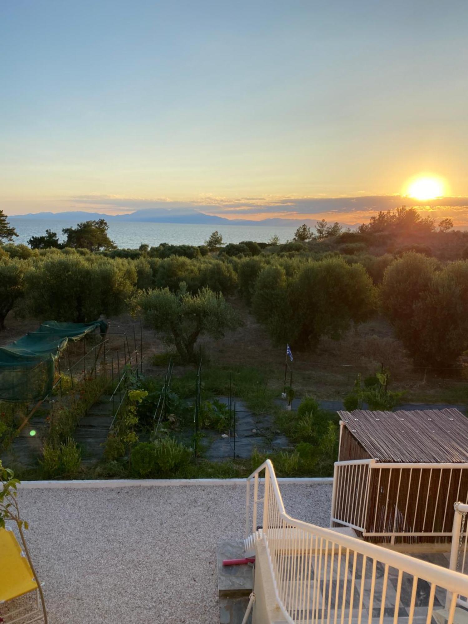 Villa Olymp Неа Потидея Екстериор снимка